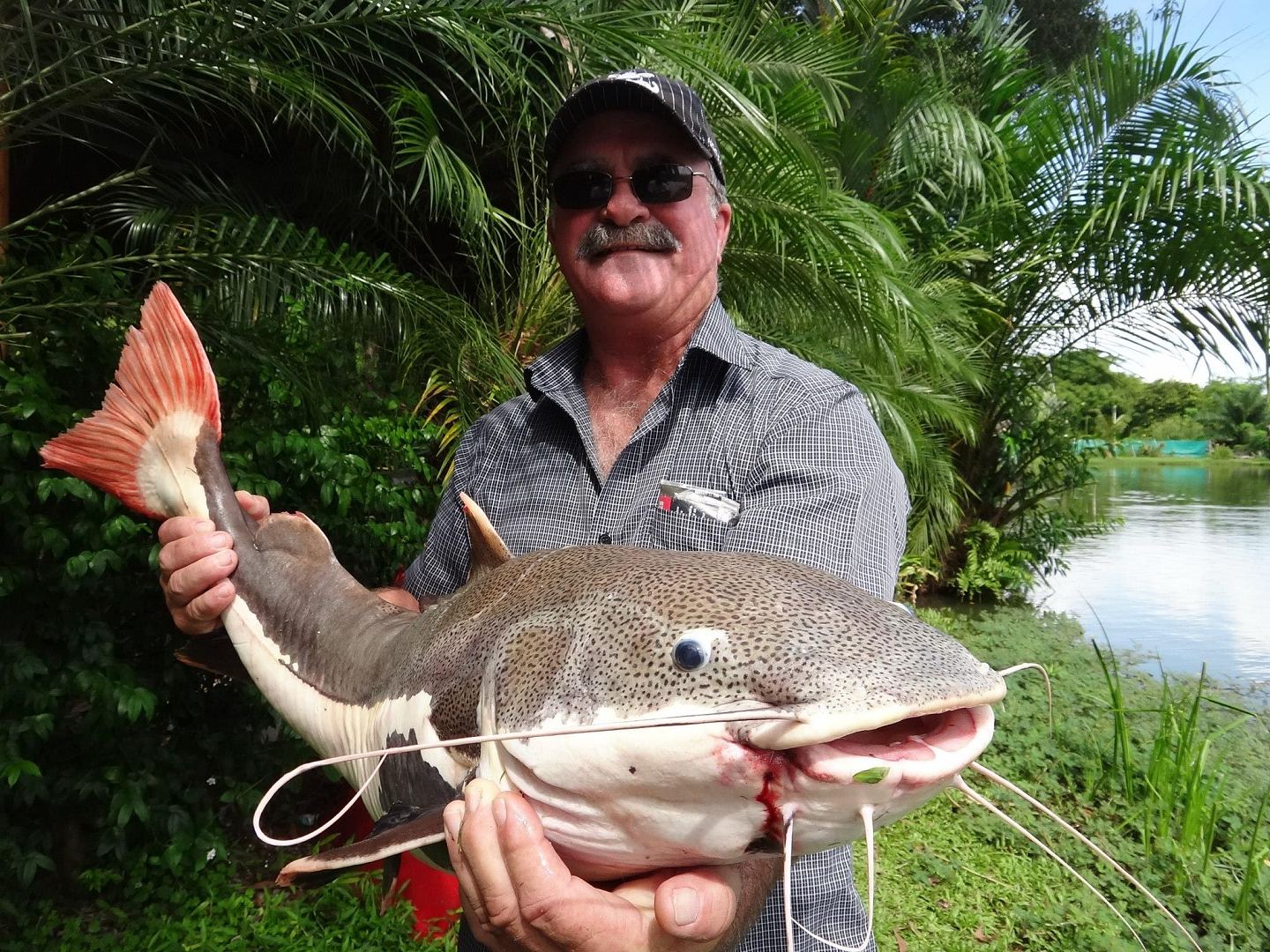 澳洲65岁男子钓鱼失踪，鳄鱼体内发现疑似残骸（组图） - 4