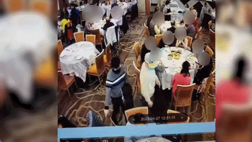 2名华人男子在中餐厅摄像头下“直播”偷包，失主霸气追捕（组图） - 4