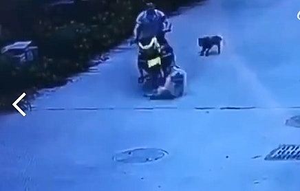 好大的官威！广东男骑车撞到前村长的狗，竟被村干部围殴要求下跪（视频/组图） - 2