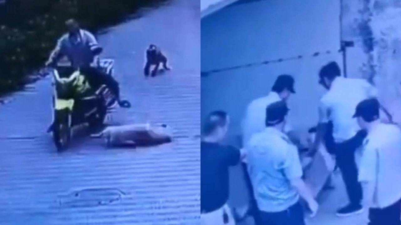 好大的官威！广东男骑车撞到前村长的狗，竟被村干部围殴要求下跪（视频/组图） - 1