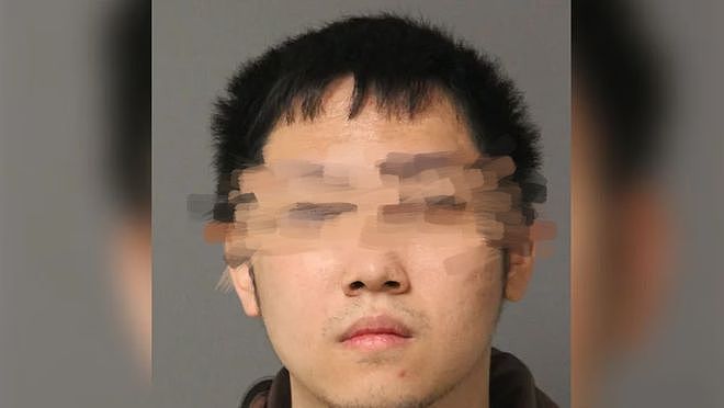 中国博士因传播儿童情色内容被捕！15项重罪最高可判1320个月（组图） - 2