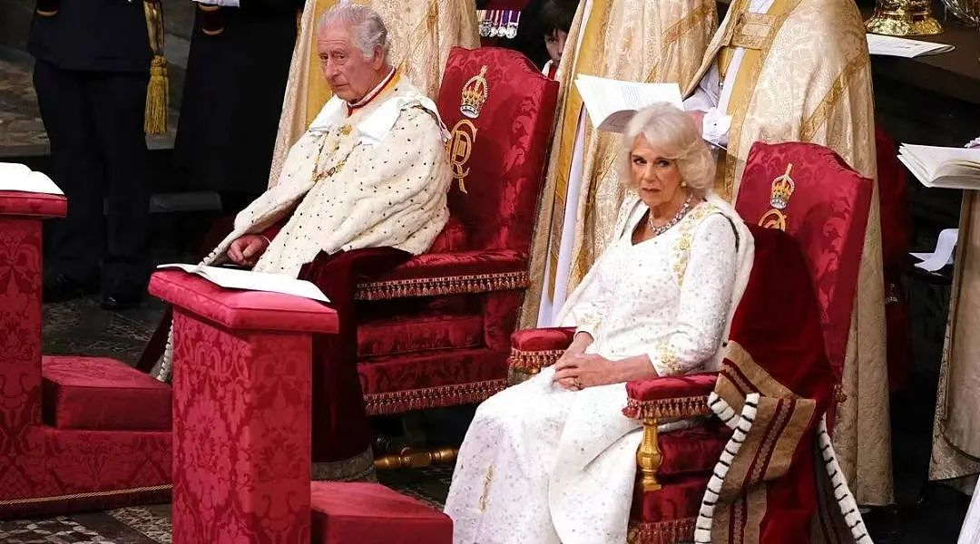 “70年太子”查尔斯终于加冕为王！卡米拉封后笑开花，夏洛特公主被评“女王转世”（组图） - 63