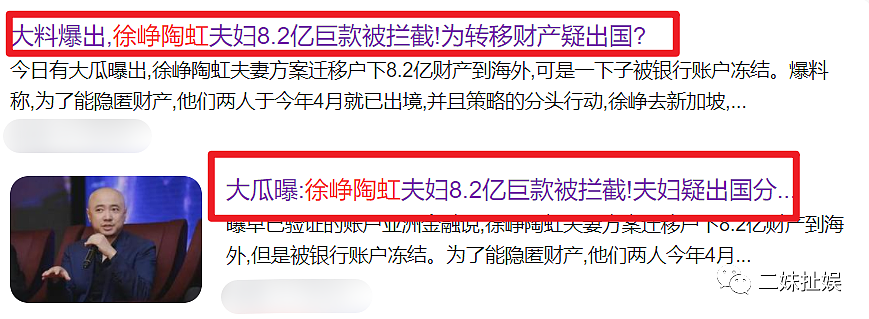 徐峥陶虹被曝逃离出境，转移数亿资产遭拦截，两人出国已经数月（组图） - 1