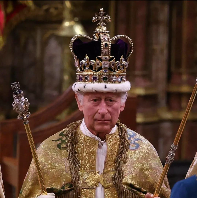 英王登基，全球瞩目！查尔斯开启王室70年首次，仪式新颖，最抢镜是她…（组图） - 19