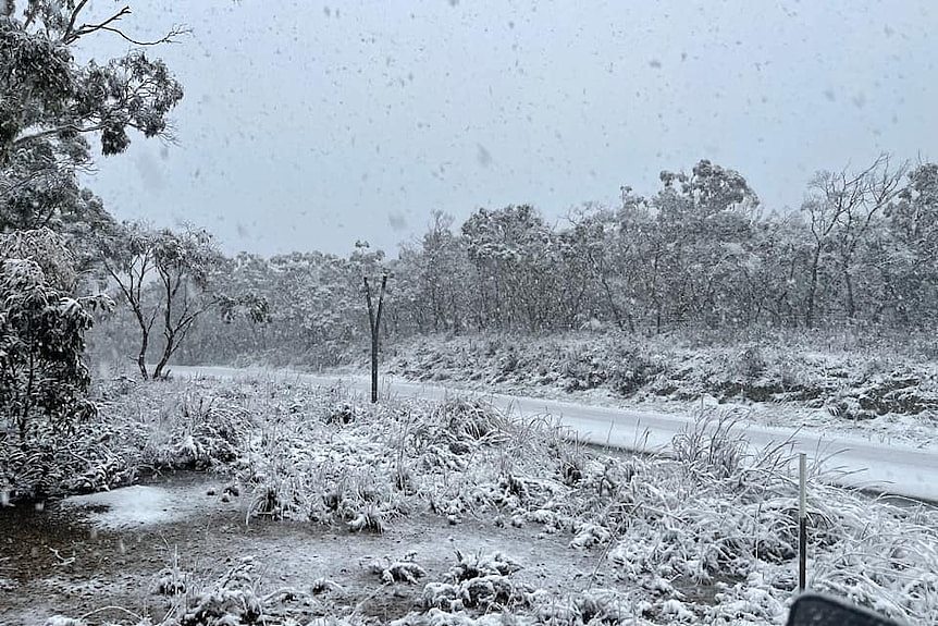 寒潮席卷澳洲东南部，山区飘雪 悉尼墨尔本迎来今年最冷清晨 - 1