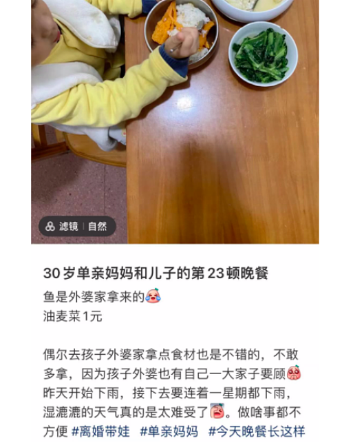 30岁单亲妈妈负债20万，评论区一群“现眼包”开始炫耀了……（组图） - 2