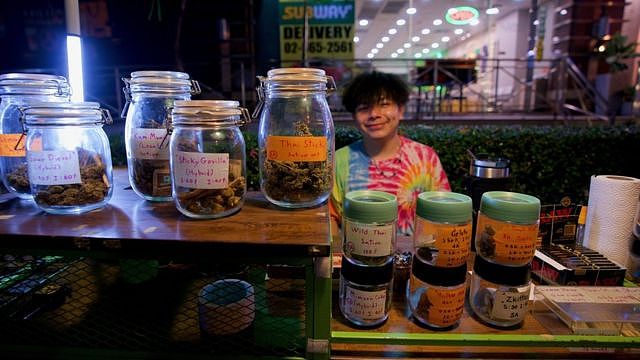 泰国是如何成为东南亚“大麻天堂”的（组图） - 4