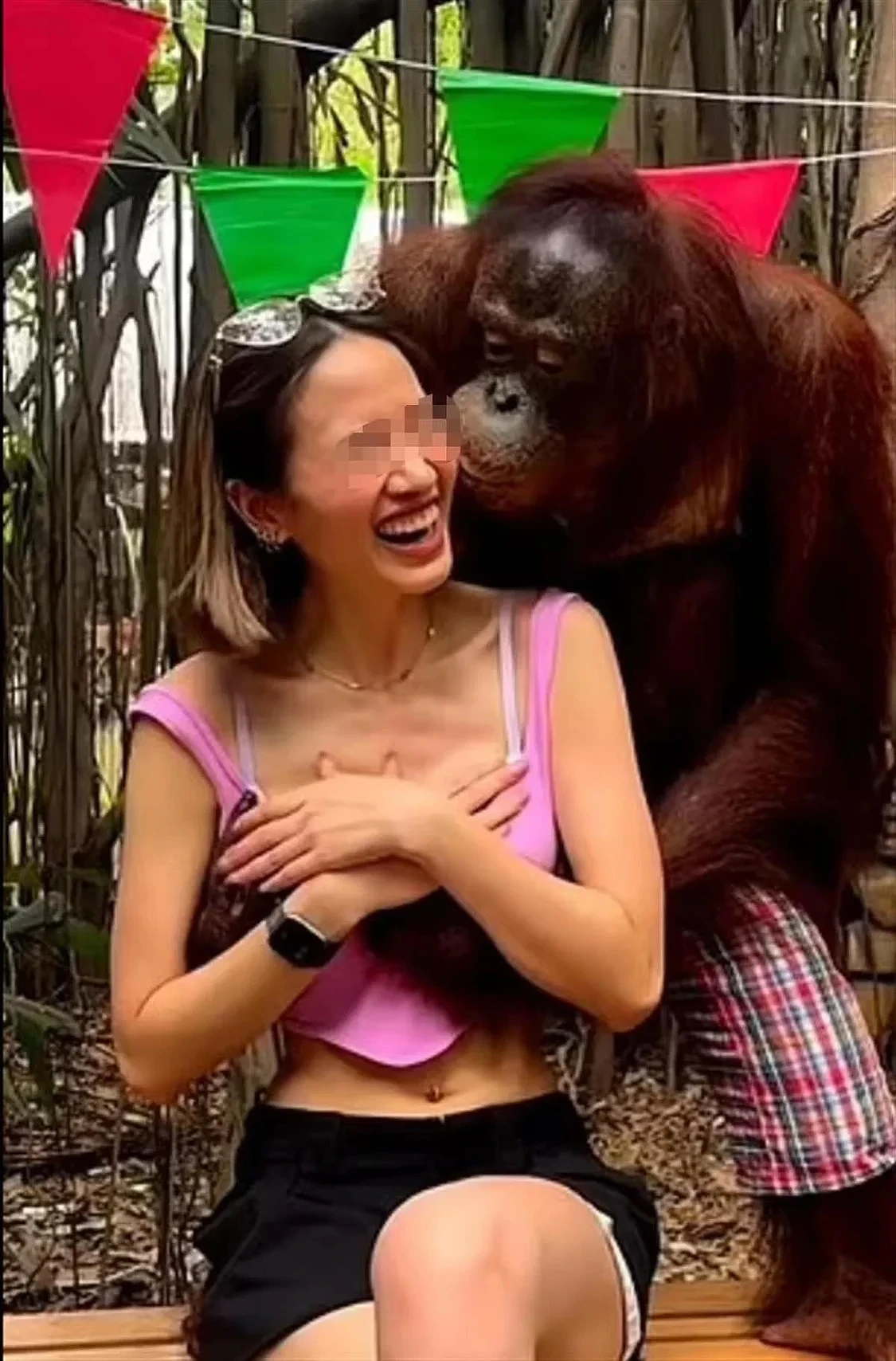 泰国动物园一猩猩合影时对女游客袭胸，还不断亲吻其脸部，女游客：“猩猩很友好”（组图） - 3