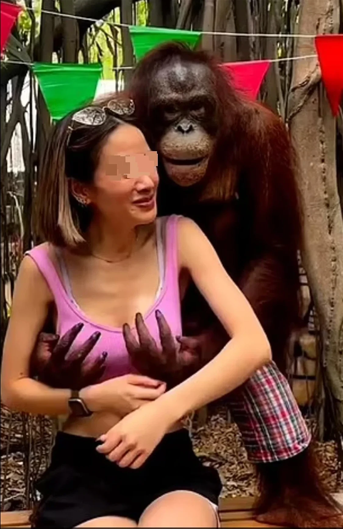 泰国动物园一猩猩合影时对女游客袭胸，还不断亲吻其脸部，女游客：“猩猩很友好”（组图） - 1