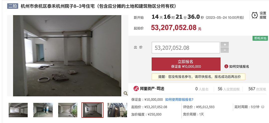 原房主曾遭中国央视纪录片点名！杭州9500万元顶级豪宅，打7折也没人买？（组图） - 2
