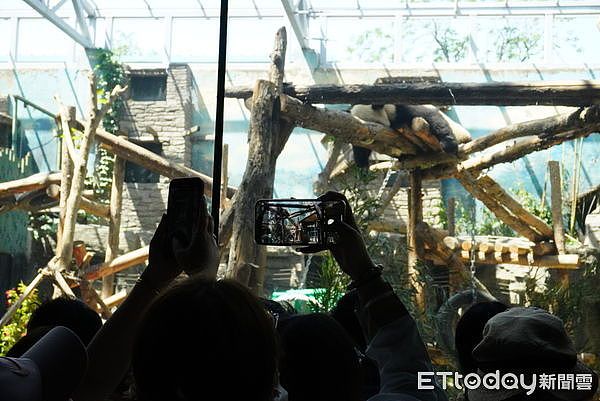 中国掀追大猫熊热潮，万人涌北京动物园，排队1小时看5分钟（组图） - 9