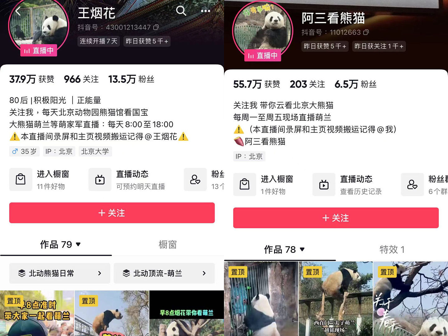 中国掀追大猫熊热潮，万人涌北京动物园，排队1小时看5分钟（组图） - 10