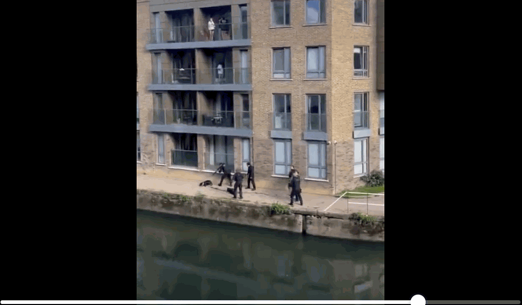 英国伦敦警察开枪击毙2狗视频流传，目击者惊呼（视频/组图） - 5