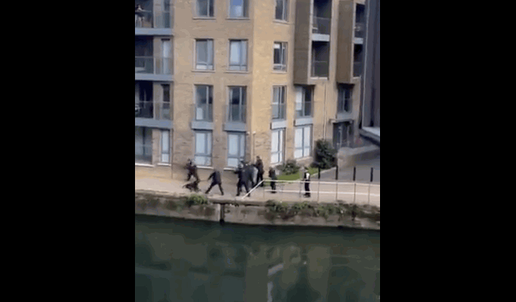 英国伦敦警察开枪击毙2狗视频流传，目击者惊呼（视频/组图） - 1
