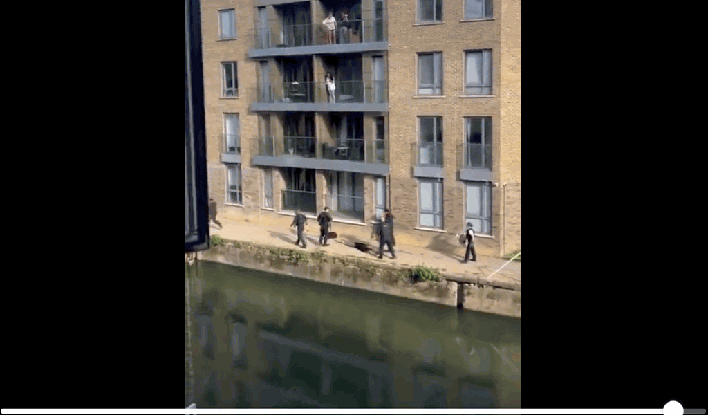 英国伦敦警察开枪击毙2狗视频流传，目击者惊呼（视频/组图） - 6