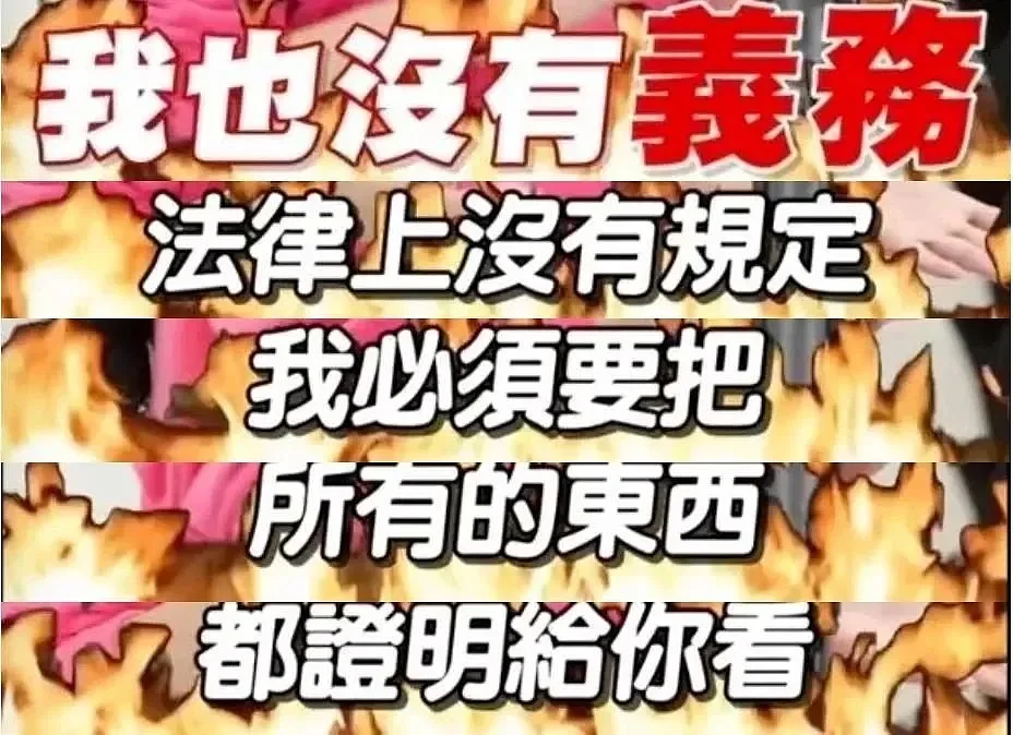 台湾贵妇上节目炫耀爱马仕，被内地网友扒出全是假货......（组图） - 23