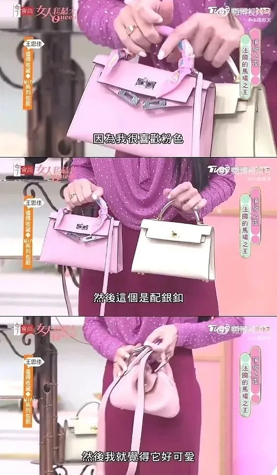 台湾贵妇上节目炫耀爱马仕，被内地网友扒出全是假货......（组图） - 9