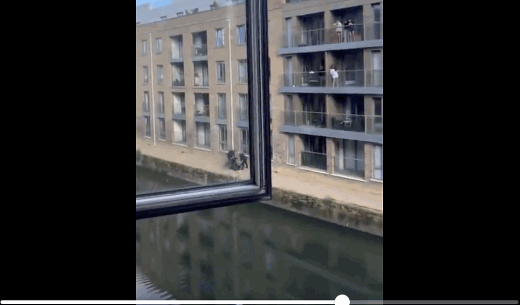 英国伦敦警察开枪击毙2狗视频流传，目击者惊呼（视频/组图） - 3