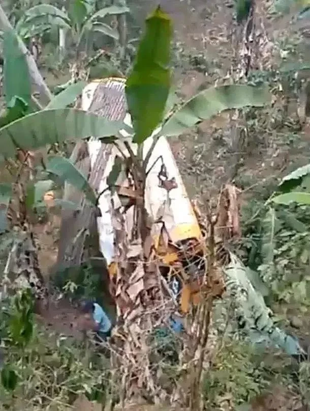 尼加拉瓜6人被蜂蜇后遇难！公交坠崖撞蜂巢，皮肤上满是“针眼”（组图） - 4
