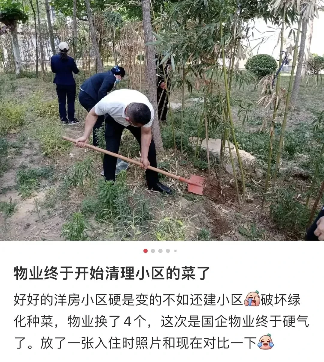 李亚鹏道歉吵上热搜，炸出中国小区第一大雷（组图） - 10