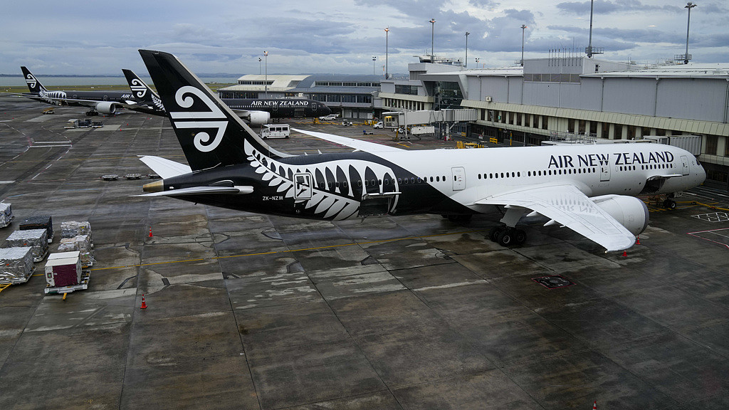 全球首创经济舱“躺著搭”！新西兰航空揭晓价格与开卖时间（图） - 1