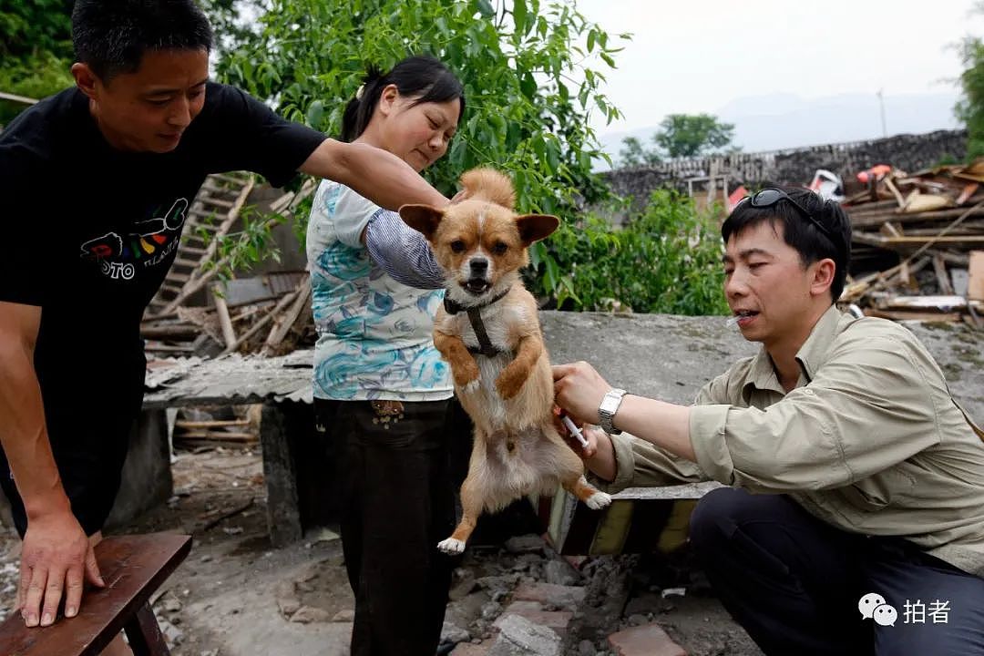 十五年了，这些画面依旧让人泪流满面 | 汶川2008（组图） - 19