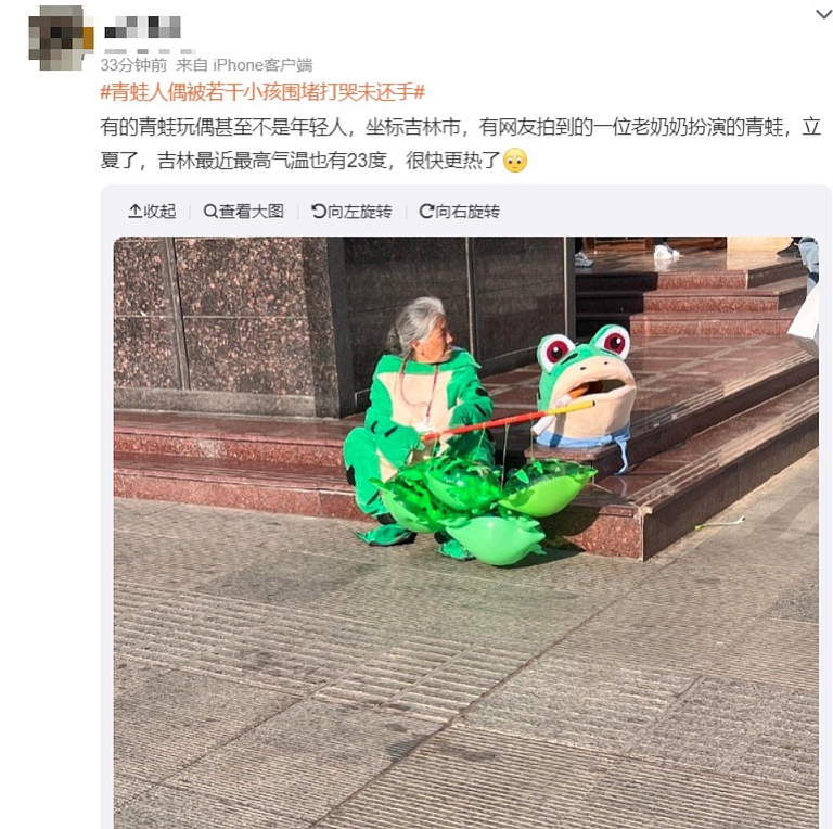 “卖崽青蛙落网“冲热搜！大上海容不下一只小青蛙？（组图） - 4
