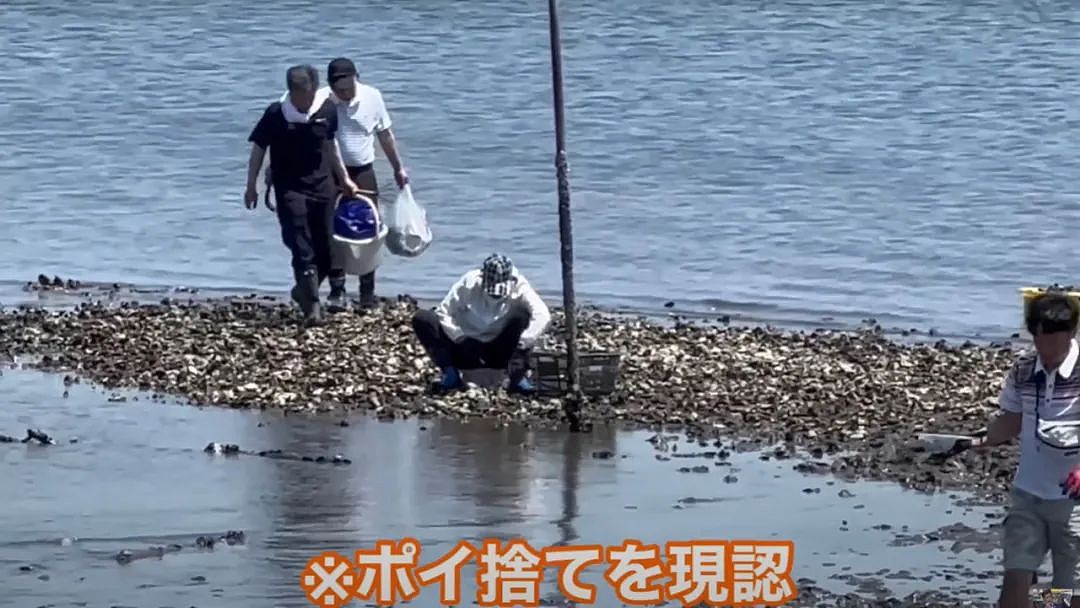 视频曝光！中国大妈挖牡蛎乱扔壳儿被日本警察带走，下跪求饶：我老人家放过我吧！（组图） - 3