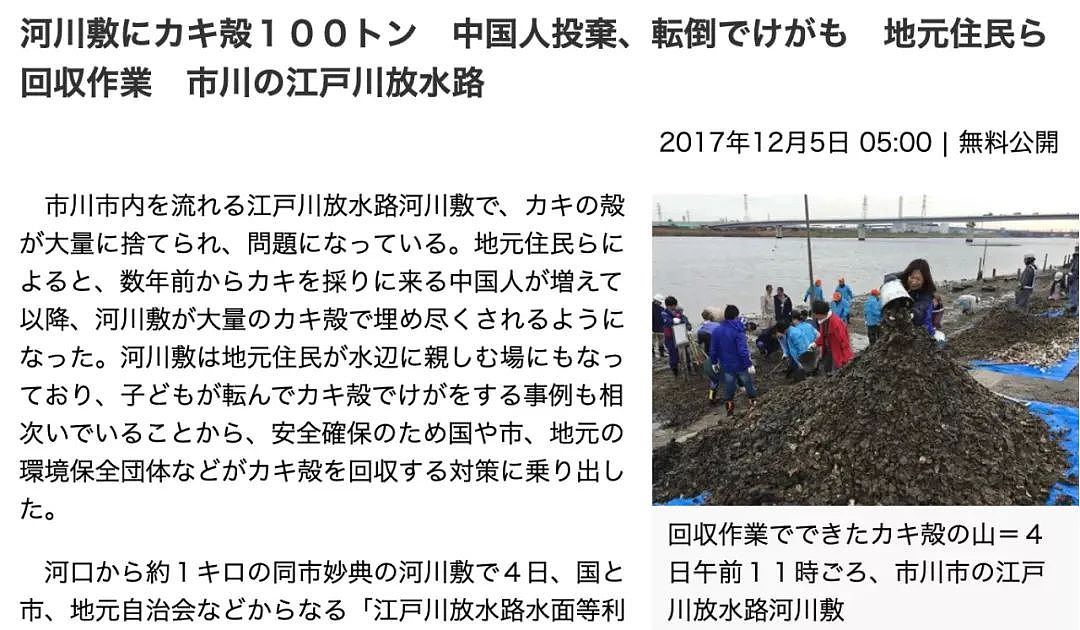 视频曝光！中国大妈挖牡蛎乱扔壳儿被日本警察带走，下跪求饶：我老人家放过我吧！（组图） - 13