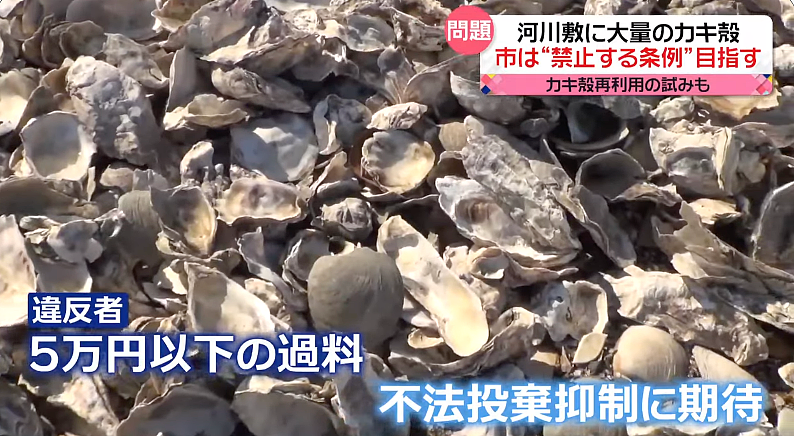 视频曝光！中国大妈挖牡蛎乱扔壳儿被日本警察带走，下跪求饶：我老人家放过我吧！（组图） - 17