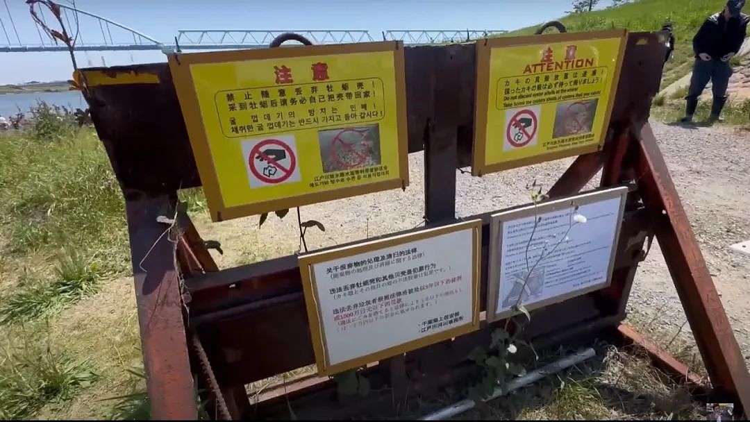 视频曝光！中国大妈挖牡蛎乱扔壳儿被日本警察带走，下跪求饶：我老人家放过我吧！（组图） - 15