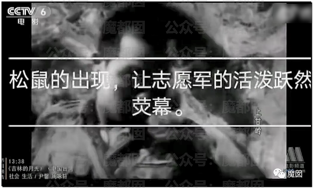 新华社+人民日报发文批评！笑果house的段子到底说了啥？（组图） - 50