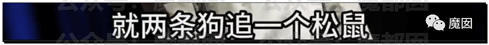 新华社+人民日报发文批评！笑果house的段子到底说了啥？（组图） - 41