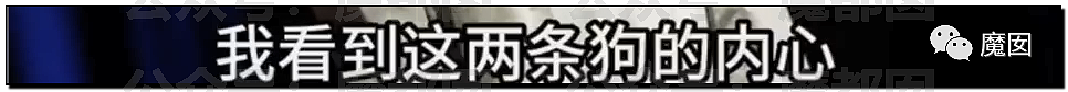 新华社+人民日报发文批评！笑果house的段子到底说了啥？（组图） - 44