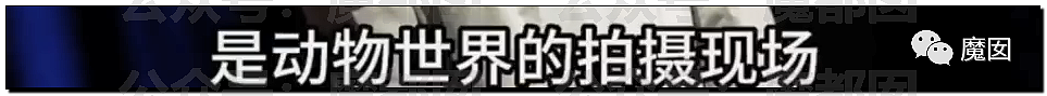 新华社+人民日报发文批评！笑果house的段子到底说了啥？（组图） - 40