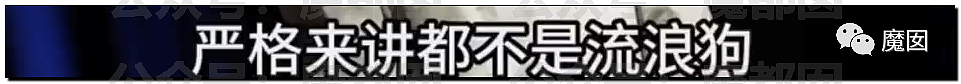 新华社+人民日报发文批评！笑果house的段子到底说了啥？（组图） - 27
