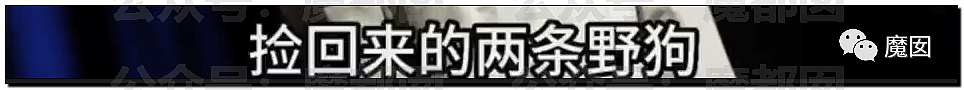 新华社+人民日报发文批评！笑果house的段子到底说了啥？（组图） - 29