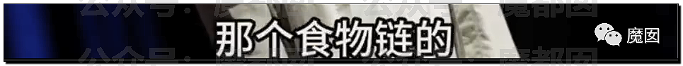 新华社+人民日报发文批评！笑果house的段子到底说了啥？（组图） - 32