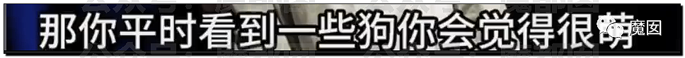 新华社+人民日报发文批评！笑果house的段子到底说了啥？（组图） - 43