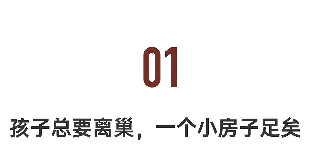 日本三胎家庭住进深山10年，买地仅9万人民币，独享广阔山林（组图） - 5