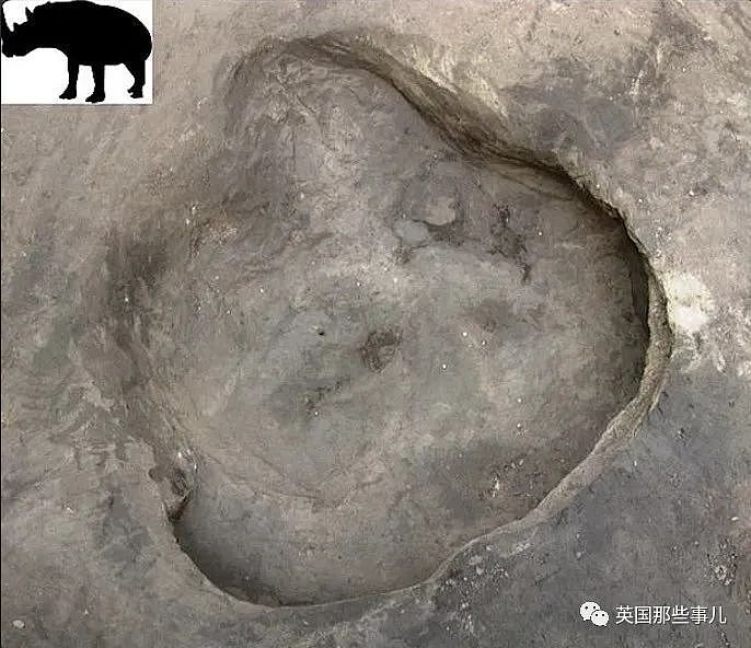 德国发现最古老的人类脚印！距今已30万年，可能一家人在游玩？（组图） - 5