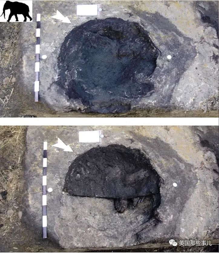 德国发现最古老的人类脚印！距今已30万年，可能一家人在游玩？（组图） - 3