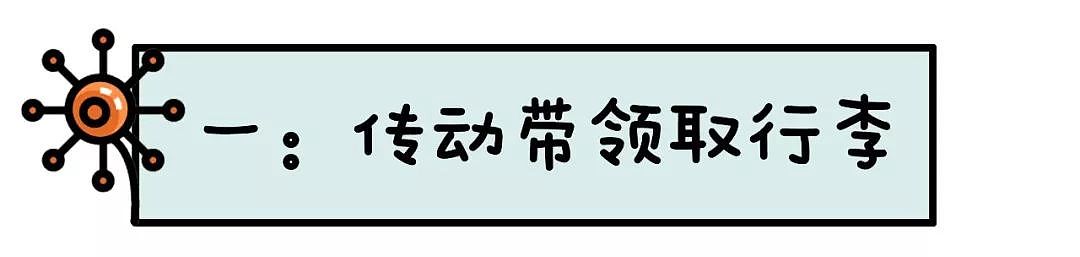 入境新西兰有新规，这样入境会定罪！这条最新入境通关攻略请收好（组图） - 41