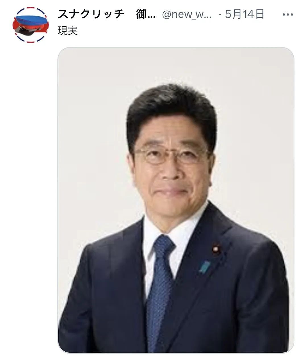 推特上超火的日本爆乳政治家，其实是个彻底的假货（组图） - 18