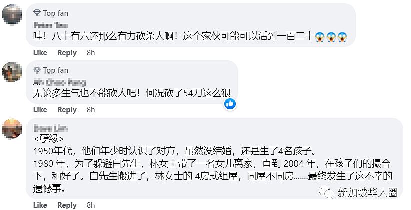 “你要我死，我不能让你活！”华裔老翁盛怒下54刀砍死老伴！法官：“谋杀”改判“误杀”，监禁15年（组图） - 9