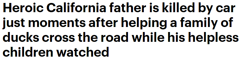 华裔女子丈夫护小鸭过马路竟被车撞死！子女全程目睹，肇事者为17岁少女（组图） - 1