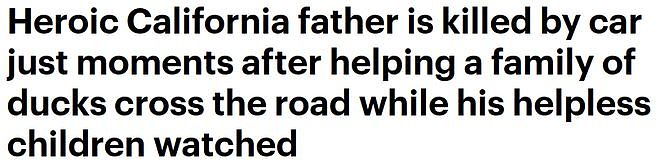 加州老爸下车帮助野鸭过马路，当着儿子面被撞身亡！（组图） - 1