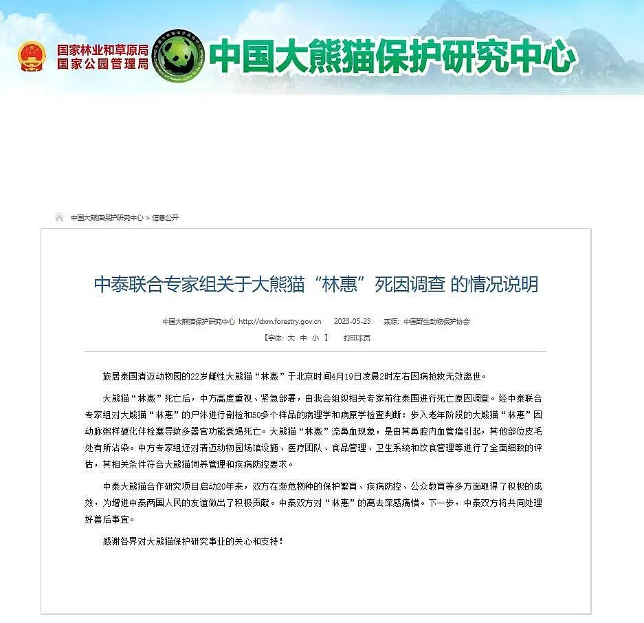 中国大熊猫“林惠”死因公布！中泰联合专家组发布情况说明（组图） - 3