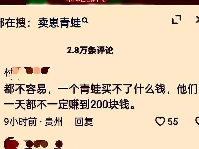 央媒发声：欠60亿还能去美国，失业青年卖蛙却被抓（组图） - 4