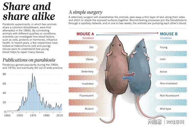 【健康】注入年轻血液能返青春？注射8次年龄回溯54%，中科院再添新证（组图） - 2